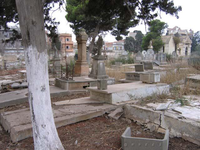 VOYAGE ORAN SEPTEMBRE 2006 78 12 sept. 06 - matin - CIMETIERE DE TAMASHOUET CARRE 35.JPG